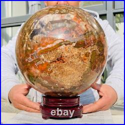 54.90lb Large Natural Petrified Wood Fossil Quartz Crystal Sphere Ball Healing 54.90lb Large Natural Petrified Wood Fossil Quartz Crystal Sphere Ball Healing