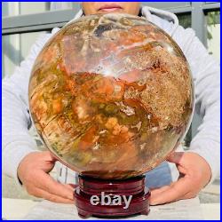 54.90lb Large Natural Petrified Wood Fossil Quartz Crystal Sphere Ball Healing 54.90lb Large Natural Petrified Wood Fossil Quartz Crystal Sphere Ball Healing