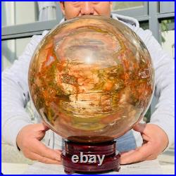 54.90lb Large Natural Petrified Wood Fossil Quartz Crystal Sphere Ball Healing 54.90lb Large Natural Petrified Wood Fossil Quartz Crystal Sphere Ball Healing
