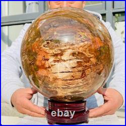 54.90lb Large Natural Petrified Wood Fossil Quartz Crystal Sphere Ball Healing 54.90lb Large Natural Petrified Wood Fossil Quartz Crystal Sphere Ball Healing