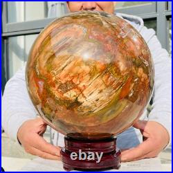 54.90lb Large Natural Petrified Wood Fossil Quartz Crystal Sphere Ball Healing 54.90lb Large Natural Petrified Wood Fossil Quartz Crystal Sphere Ball Healing