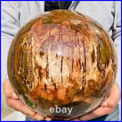 54.90lb Large Natural Petrified Wood Fossil Quartz Crystal Sphere Ball Healing 54.90lb Large Natural Petrified Wood Fossil Quartz Crystal Sphere Ball Healing