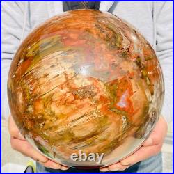 54.90lb Large Natural Petrified Wood Fossil Quartz Crystal Sphere Ball Healing 54.90lb Large Natural Petrified Wood Fossil Quartz Crystal Sphere Ball Healing