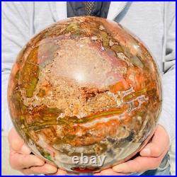 54.90lb Large Natural Petrified Wood Fossil Quartz Crystal Sphere Ball Healing 54.90lb Large Natural Petrified Wood Fossil Quartz Crystal Sphere Ball Healing