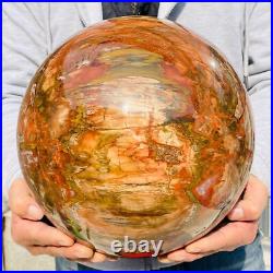 54.90lb Large Natural Petrified Wood Fossil Quartz Crystal Sphere Ball Healing 54.90lb Large Natural Petrified Wood Fossil Quartz Crystal Sphere Ball Healing