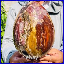 5730g Large Natural Red Petrified Wood Fossil Crystal Egg Specimen