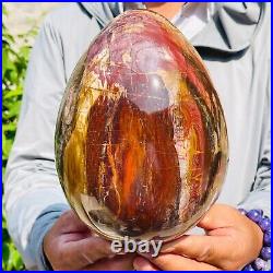 5730g Large Natural Red Petrified Wood Fossil Crystal Egg Specimen