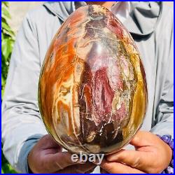 5730g Large Natural Red Petrified Wood Fossil Crystal Egg Specimen