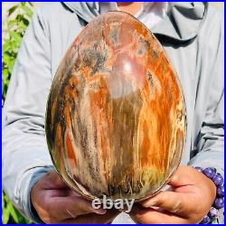 5730g Large Natural Red Petrified Wood Fossil Crystal Egg Specimen