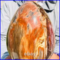 5730g Large Natural Red Petrified Wood Fossil Crystal Egg Specimen