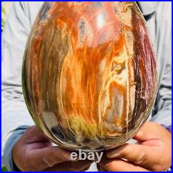 5730g Large Natural Red Petrified Wood Fossil Crystal Egg Specimen