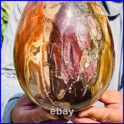 5730g Large Natural Red Petrified Wood Fossil Crystal Egg Specimen