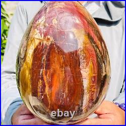 5730g Large Natural Red Petrified Wood Fossil Crystal Egg Specimen