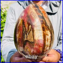 5730g Large Natural Red Petrified Wood Fossil Crystal Egg Specimen