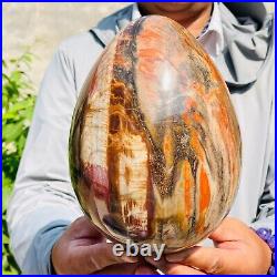 5730g Large Natural Red Petrified Wood Fossil Crystal Egg Specimen