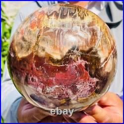 5730g Large Natural Red Petrified Wood Fossil Crystal Egg Specimen