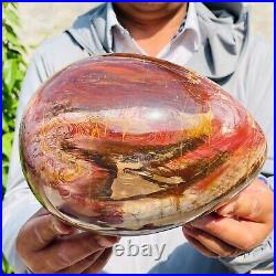 5730g Large Natural Red Petrified Wood Fossil Crystal Egg Specimen