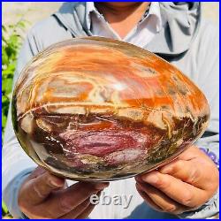 5730g Large Natural Red Petrified Wood Fossil Crystal Egg Specimen