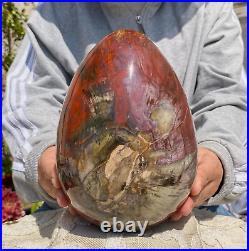 5880g Beautiful Large Petrified Wood Fossil Egg Crystal Home Decor Specimen