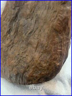 58 LBS. Arizona Petrified Wood Log 1 Foot Long! FREE SHIPPING