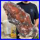 58lb_Rare_Natural_petrified_wood_rough_Wood_fossil_mineral_specimen_healing_01_ycln