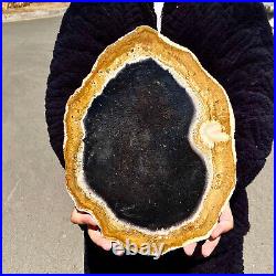 5.13LB Large Natural Petrified Wood Crystal Fossil Slice Shape Specimen Healing 5.13LB Large Natural Petrified Wood Crystal Fossil Slice Shape Specimen Healing