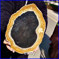 5.13LB Large Natural Petrified Wood Crystal Fossil Slice Shape Specimen Healing 5.13LB Large Natural Petrified Wood Crystal Fossil Slice Shape Specimen Healing