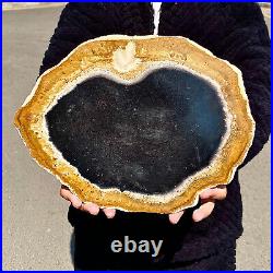 5.13LB Large Natural Petrified Wood Crystal Fossil Slice Shape Specimen Healing 5.13LB Large Natural Petrified Wood Crystal Fossil Slice Shape Specimen Healing