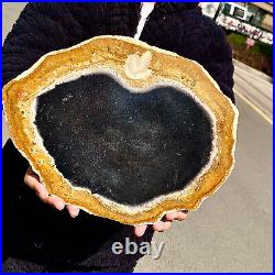 5.13LB Large Natural Petrified Wood Crystal Fossil Slice Shape Specimen Healing 5.13LB Large Natural Petrified Wood Crystal Fossil Slice Shape Specimen Healing