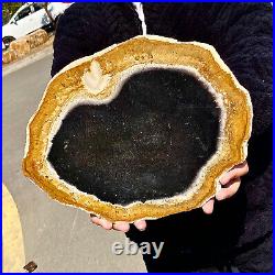 5.13LB Large Natural Petrified Wood Crystal Fossil Slice Shape Specimen Healing 5.13LB Large Natural Petrified Wood Crystal Fossil Slice Shape Specimen Healing