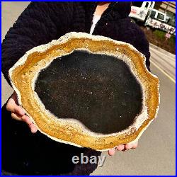 5.13LB Large Natural Petrified Wood Crystal Fossil Slice Shape Specimen Healing 5.13LB Large Natural Petrified Wood Crystal Fossil Slice Shape Specimen Healing