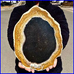 5.13LB Large Natural Petrified Wood Crystal Fossil Slice Shape Specimen Healing 5.13LB Large Natural Petrified Wood Crystal Fossil Slice Shape Specimen Healing
