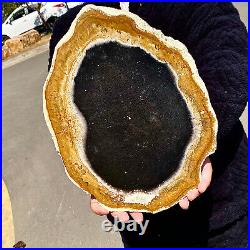 5.13LB Large Natural Petrified Wood Crystal Fossil Slice Shape Specimen Healing 5.13LB Large Natural Petrified Wood Crystal Fossil Slice Shape Specimen Healing