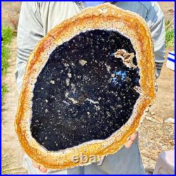 5.18LB Large Natural Petrified Wood Crystal Fossil Slice Shape Specimen Healing