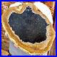 5_22LB_Large_Natural_Petrified_Wood_Crystal_Fossil_Slice_Shape_Healing_Specimen_01_vw