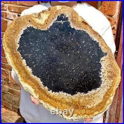 5.22LB Large Natural Petrified Wood Crystal Fossil Slice Shape Healing Specimen