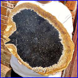 5.22LB Large Natural Petrified Wood Crystal Fossil Slice Shape Healing Specimen