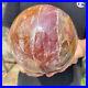 5_2lb_Natural_Petrified_Wood_Crystal_Ball_Fossil_Polished_Sphere_Specimen_01_gdql