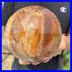 5_2lb_Natural_Petrified_Wood_fossil_Quartz_sphere_Crystal_Ball_specimen_Healing_01_qc