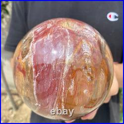 5.2lb Natural Petrified Wood fossil Quartz sphere Crystal Ball specimen Healing
