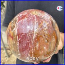 5.2lb Natural Petrified Wood fossil Quartz sphere Crystal Ball specimen Healing