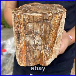 5.2lb Rare Natural petrified wood rough Wood fossil mineral specimen healing 5.2lb Rare Natural petrified wood rough Wood fossil mineral specimen healing
