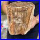 5_2lb_Rare_Natural_petrified_wood_rough_Wood_fossil_mineral_specimen_healing_01_np
