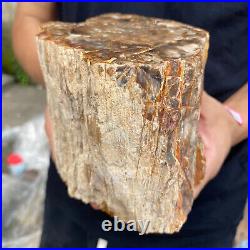 5.2lb Rare Natural petrified wood rough Wood fossil mineral specimen healing 5.2lb Rare Natural petrified wood rough Wood fossil mineral specimen healing