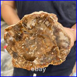 5.2lb Rare Natural petrified wood rough Wood fossil mineral specimen healing 5.2lb Rare Natural petrified wood rough Wood fossil mineral specimen healing