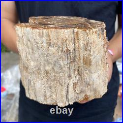 5.2lb Rare Natural petrified wood rough Wood fossil mineral specimen healing 5.2lb Rare Natural petrified wood rough Wood fossil mineral specimen healing
