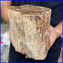 5.2lb Rare Natural petrified wood rough Wood fossil mineral specimen healing 5.2lb Rare Natural petrified wood rough Wood fossil mineral specimen healing