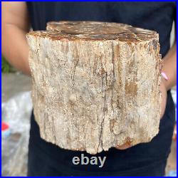5.2lb Rare Natural petrified wood rough Wood fossil mineral specimen healing 5.2lb Rare Natural petrified wood rough Wood fossil mineral specimen healing