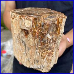 5.2lb Rare Natural petrified wood rough Wood fossil mineral specimen healing 5.2lb Rare Natural petrified wood rough Wood fossil mineral specimen healing