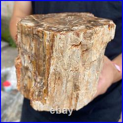 5.2lb Rare Natural petrified wood rough Wood fossil mineral specimen healing 5.2lb Rare Natural petrified wood rough Wood fossil mineral specimen healing